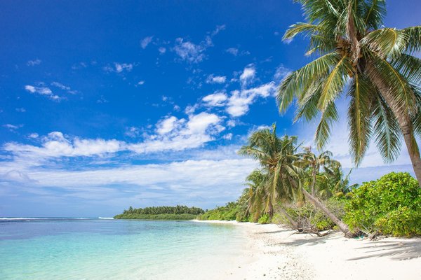 Quelles croisières offrent des ateliers de broderie traditionnelle avec des artisans en Europe de l'Est?